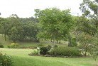 Mp Creekresidential-landscaping-40.jpg; ?>